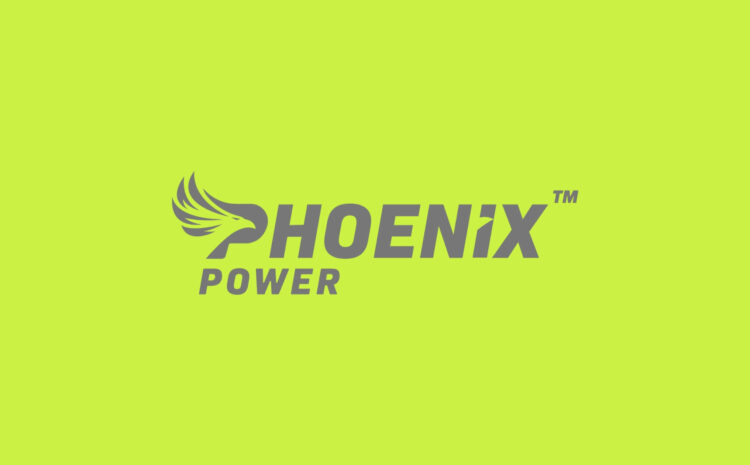 Phoenix Power Partnerem Merytorycznym IV Kongresu EKO Trendy EVB Partner Days 2025